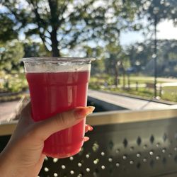 House of Many Porches - Drink from the bar