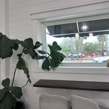 Freckleberry Teahouse - Coffee & Tea Near Me - Galveston, Texas Freckleberry Teahouse - Coffee & Tea Near Me - Galveston, Texas