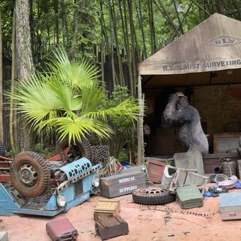 Jungle Cruise Tours - Amusement Parks Near Me - Orlando, Florida Jungle Cruise Tours - Amusement Parks Near Me - Orlando, Florida