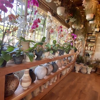 Merrihew's Sunset Gardens - Inside - Nurseries & Gardening Near Me - Santa Monica, California