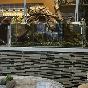 Pandan Leaf - Aquarium - Bubble Tea Near Me - Houston, Texas