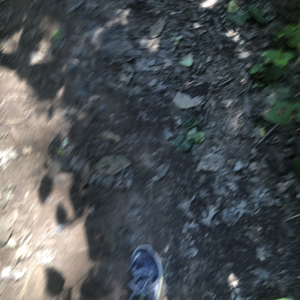 South Mountain Reservation - Pathways - Hiking Near Me - Short Hills, New Jersey South Mountain Reservation - Pathways - Hiking Near Me - Short Hills, New Jersey