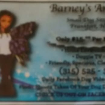 Barney's Angels small dog Sitters - Our advertiment - Pet Sitting Near Me - Frankfort, New York Barney's Angels small dog Sitters - Our advertiment - Pet Sitting Near Me - Frankfort, New York
