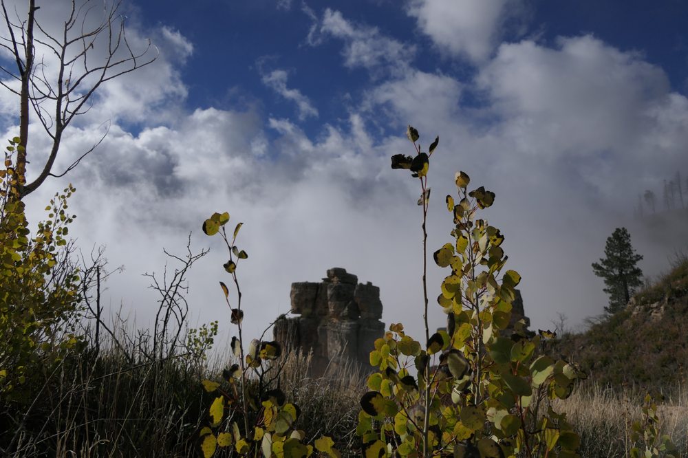 HOUSE ROCK VALLEY TOURS 12 Photos Page, Arizona Tours Phone