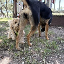 Furpals Ranch