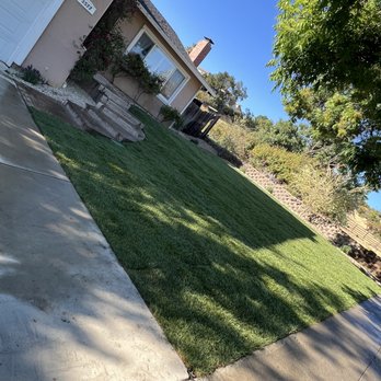 Solorio Landscaping - New Grass Natural - Landscaping Near Me - San Jose, California