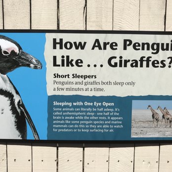 Naples Zoo - Zoos Near Me - Naples, Florida