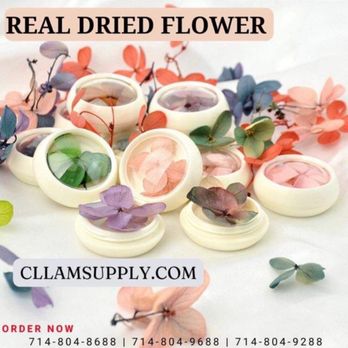 Stellar Nails & Spa - Nail Technicians Near Me - Arlington Heights, Illinois Stellar Nails & Spa - Nail Technicians Near Me - Arlington Heights, Illinois