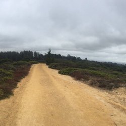 Manzanita County Park - Trail