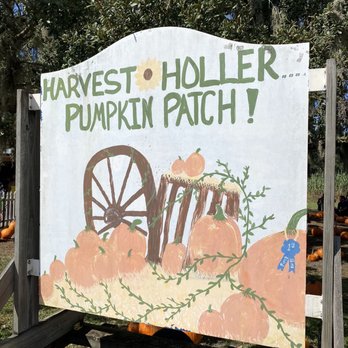 Harvest Holler Corn Maze - Farms Near Me - Polk City, Florida
