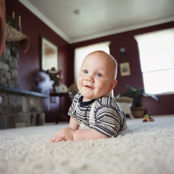 In Home Service - Healthy Home Environment - Carpet Cleaning Near Me - Toronto, Ontario In Home Service - Healthy Home Environment - Carpet Cleaning Near Me - Toronto, Ontario