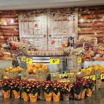 Fred Meyer - 10/10/2024 - Love all the Halloween and pumpkin action! - Grocery Near Me - Newberg, Oregon