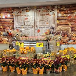 Fred Meyer - 10/10/2024 - Love all the Halloween and pumpkin action!