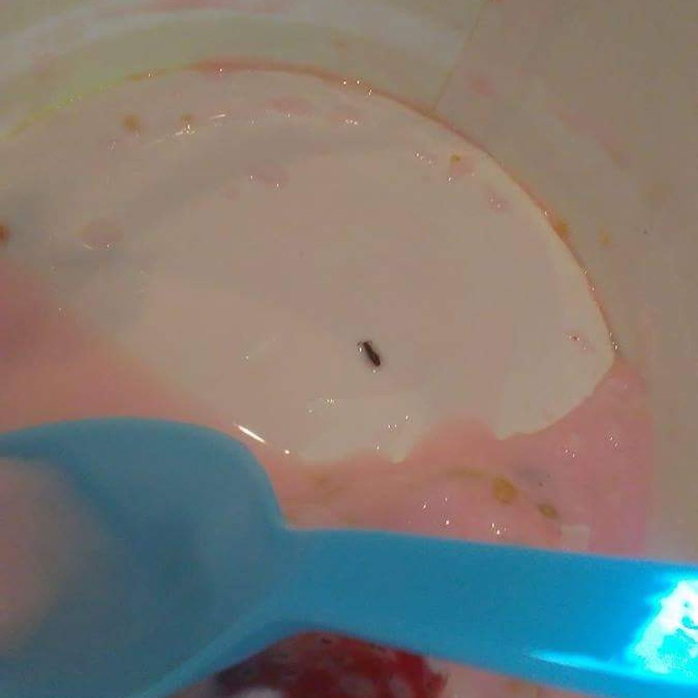 You can get free bugs in your food! How wonderful!
Where's the pest control when you need them! You can get free bugs in your food! How wonderful!
Where's the pest control when you need them!