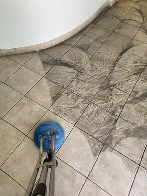 Tile & Grout Services - Tile and Grout: $.40-$.55 per sq. ft.
Call or Text for an exact quote to fit your needs! Tile & Grout Services - Tile and Grout: $.40-$.55 per sq. ft.
Call or Text for an exact quote to fit your needs!