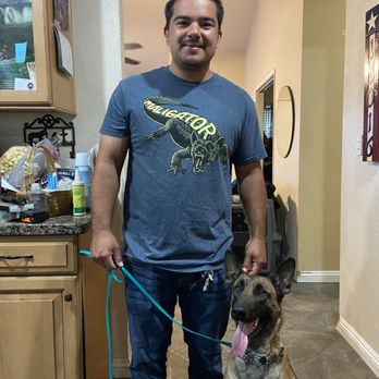 CJ's K9 Training - Pet Training Near Me CJ's K9 Training - Pet Training Near Me