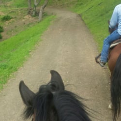 Jabez Stables - Trail rides...