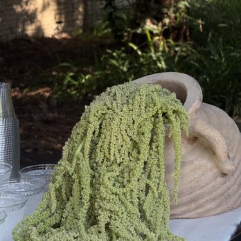 Hadley and Ren Design - Floral Designers Near Me - Costa Mesa, California