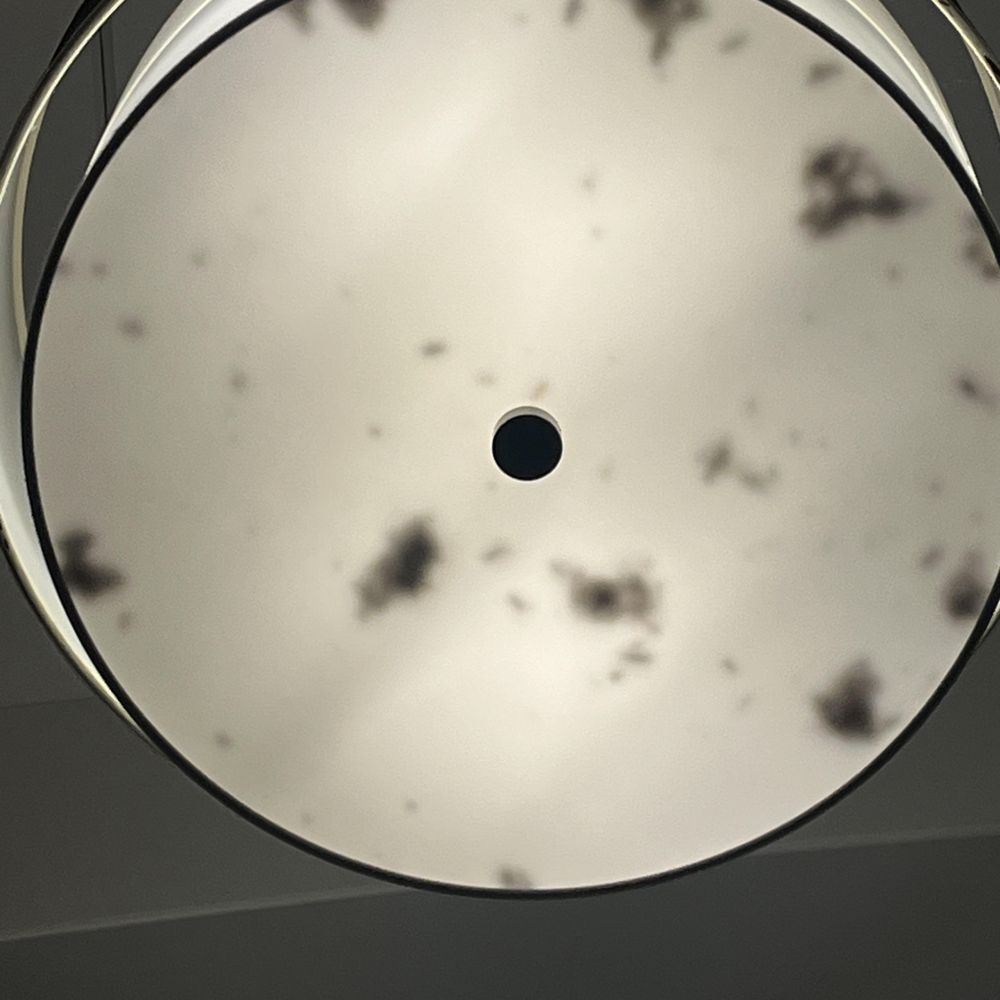 Harbin Hot Springs - lots of dead bugs in lighting fixture in Dome #4 - Meditation Centers Near Me - Middletown, California Harbin Hot Springs - lots of dead bugs in lighting fixture in Dome #4 - Meditation Centers Near Me - Middletown, California
