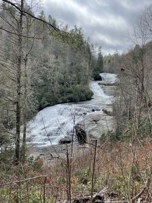 DuPont State Recreational Forest by null