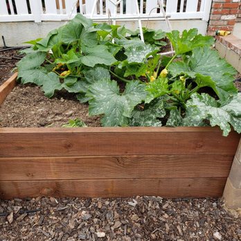 3DAgronomics - 4/16 zucchini bed - Gardeners Near Me - Corona, California