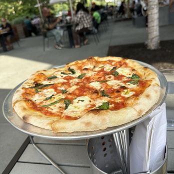 Fieldwork Brewing - Margarita Pizza - Breweries Near Me - San Ramon, California Fieldwork Brewing - Margarita Pizza - Breweries Near Me - San Ramon, California