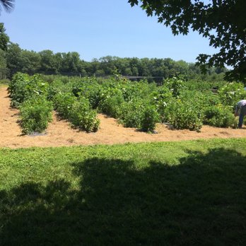 Solebury Orchards - A little garden - Fruits & Veggies Near Me - New Hope, Pennsylvania Solebury Orchards - A little garden - Fruits & Veggies Near Me - New Hope, Pennsylvania