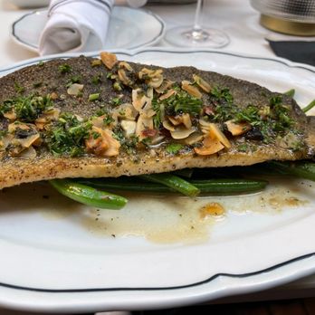 Josephine - Trout - French Near Me - Alexandria, Virginia Josephine - Trout - French Near Me - Alexandria, Virginia