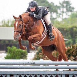 Madisonville Equestrian Center - We compete at horse shows