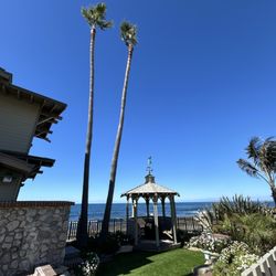 Pedro’s Tree Service - Mexican palm maintenance in La Jolla