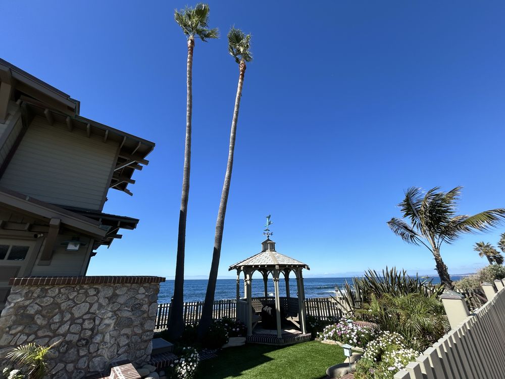 Pedro’s Tree Service - tree service in El Cajon, CA