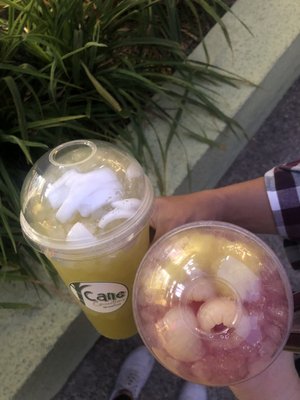 Cane Concoctions by null