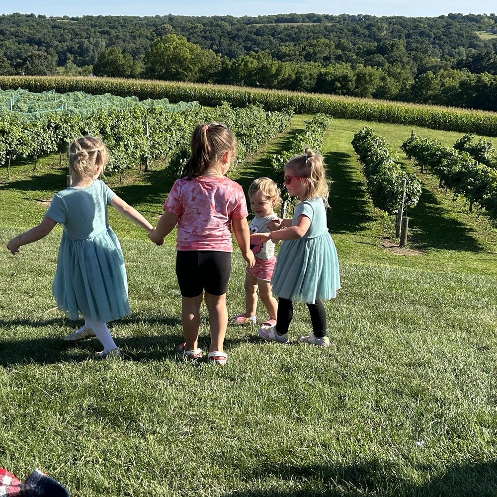 Bailey's Run Vineyard & Winery - Lots of room for kids to dance and play - Wine Tasting Room Near Me - New Glarus, Wisconsin