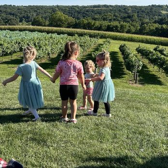 Bailey's Run Vineyard & Winery - Lots of room for kids to dance and play - Wine Tasting Room Near Me - New Glarus, Wisconsin Bailey's Run Vineyard & Winery - Lots of room for kids to dance and play - Wine Tasting Room Near Me - New Glarus, Wisconsin