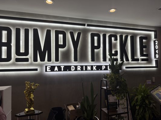Bumpy Pickle by null