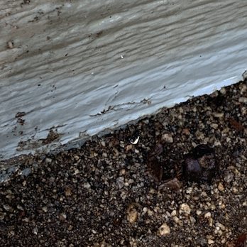 Orkin - After service - Pest Control Near Me - Riverside, California