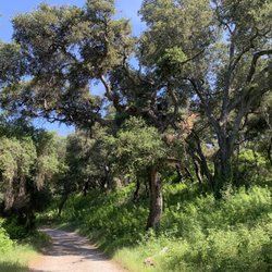 United Boys & Girls Clubs - Camp Whittier - Trails