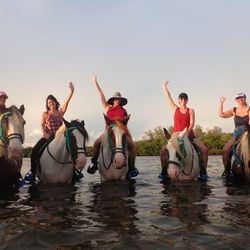 CPonies - Waiting for sunset over the ocean