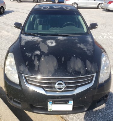 SHEEHY NISSAN OF GLEN BURNIE - Updated February 2026 - 48 Photos & 164