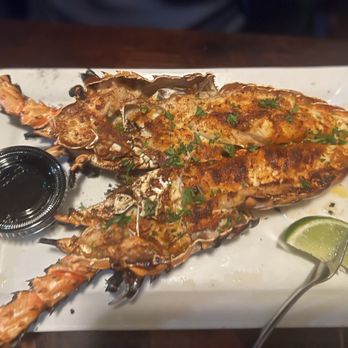 The Fish House - Seafood Near Me - Miami, Florida The Fish House - Seafood Near Me - Miami, Florida