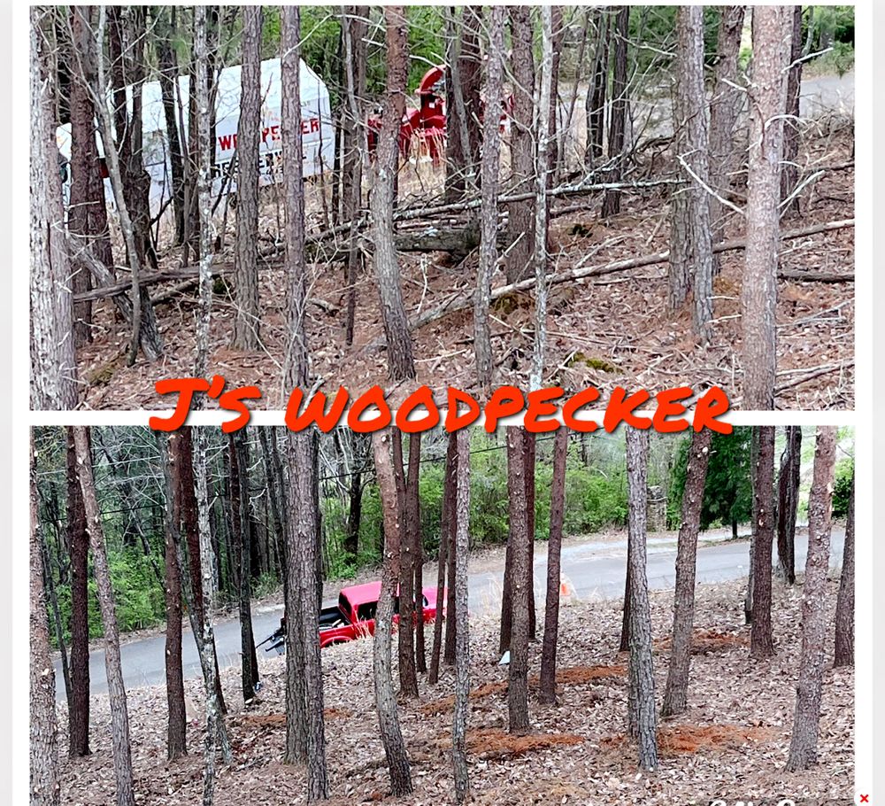 J’S WOODPECKER TREE SERVICE - Updated January 2025 - Request a Quote