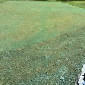 Encinitas Ranch Golf Course - Burned green - Golf Near Me - Encinitas, California Encinitas Ranch Golf Course - Burned green - Golf Near Me - Encinitas, California