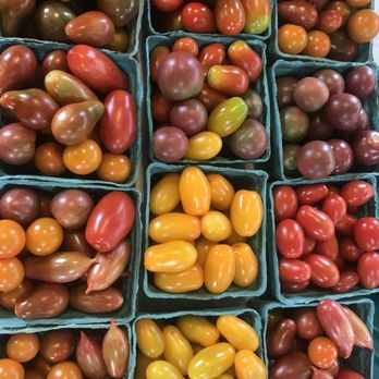 Boice's Farm - Farms Near Me - Saugerties, New York Boice's Farm - Farms Near Me - Saugerties, New York