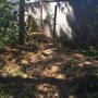 Photo of Curtis Point Tree Service