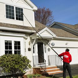 Fish Window Cleaning