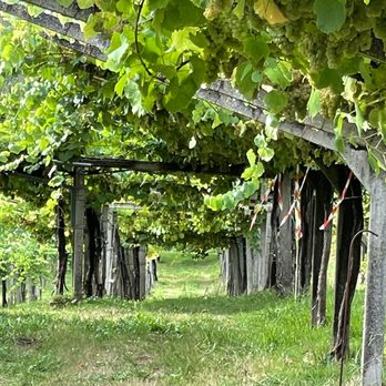 Spain Adventures - Tours Near Me - Vero Beach, Florida Spain Adventures - Tours Near Me - Vero Beach, Florida