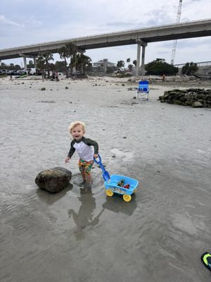 Sebastian Inlet State Park by null