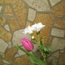 Lilies of the Valley - Single stem pink tulip and bonus flower both with non spill water Tubbs for transport.