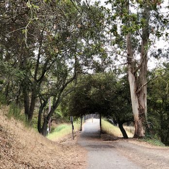 Montclair Railroad Trail - 08/05/2020: Small overpass bridge - Parks Near Me - Oakland, California Montclair Railroad Trail - 08/05/2020: Small overpass bridge - Parks Near Me - Oakland, California