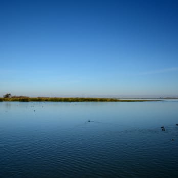 Big Break Regional Shoreline - Parks Near Me - Oakley, California